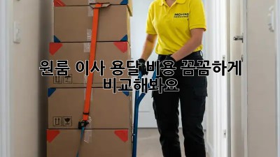 원룸 이사, 용달 비용 꼼꼼하게 비교해봐요!